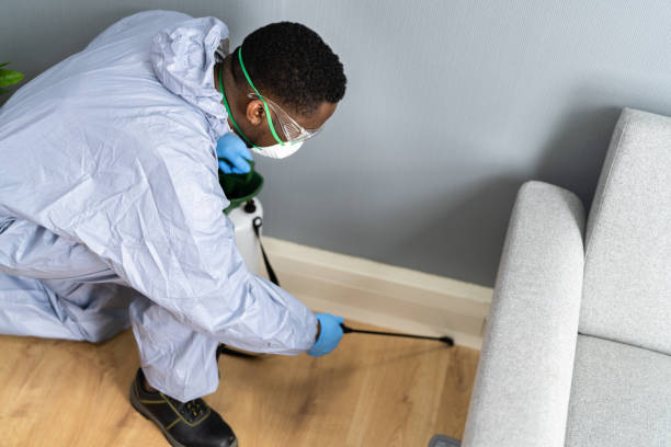 Real Estate Pest Inspections in Indian River Estates, FL